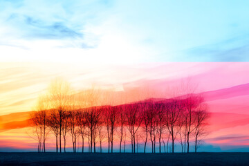 A serene landscape featuring a row of trees silhouetted against a colorful, sunset sky, creating a tranquil and picturesque scene.