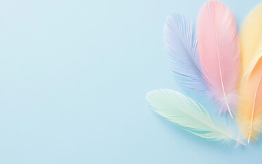 Naklejka premium Beautiful colorful feather business background