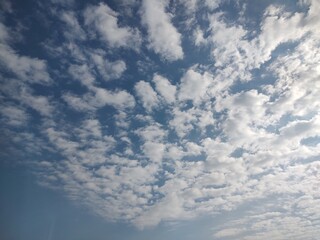 東京のそら(24.11.14)
