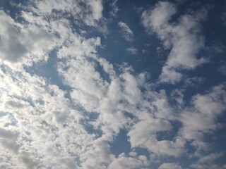 Fototapeta premium 東京のそら(24.11.14) 