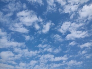 東京のそら(24.11.14)
