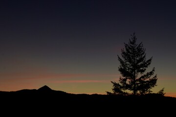 Silhouette in the sunrise