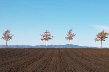 Hokkaido, Japan - November 14, 2024: Hill of Fairy Tale or Meruhen-no-Oka Hill in Hokkaido, Japan