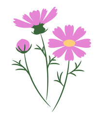 シンプルで可愛いコスモスのイラスト素材