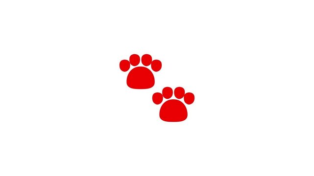 traces of a dog