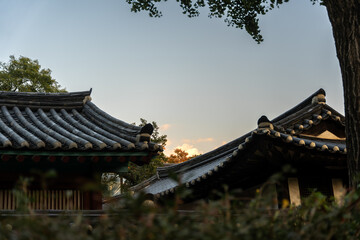 pavilion in the garden