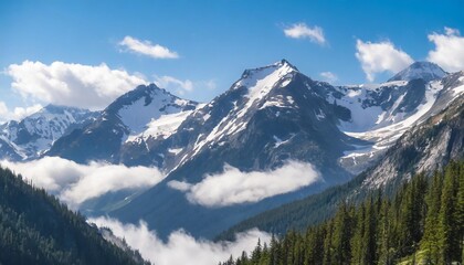 Snow-Capped Mountain Peaks Piercing Through the Clouds, With an Endless Stretch of Pine Forest Below, and a Clear Blue Sky Above, Creating a Majestic Alpine Scene