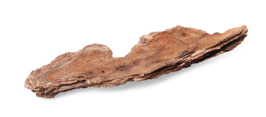 One piece of tree bark on white background