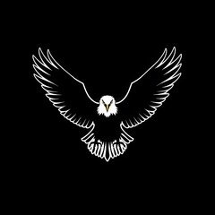 Obraz premium White Bald Eagle with Spread Wings on Black Background Bird of Prey Symbol