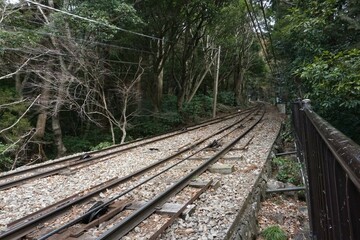 Fototapeta premium 山の中を通る線路（筑波山）