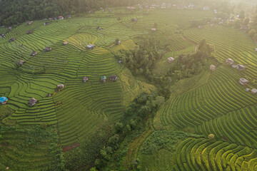 Beautiful aerial view of rice terraces at sunrise in during the rainy season at Ban Pa Pong Piang, Chiang Mai, Thailand.