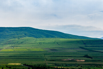 Green Landscape In Georgia