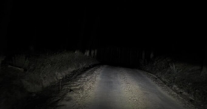 Headlights illuminating a dirt road wind through a dark forest, creating an eerie atmosphere filled with shadows