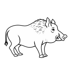 sketch illustration of boar