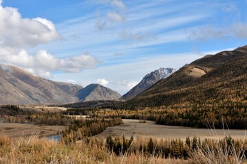 A view of a picturesque valley in the mountains with gentle slopes overgrown with dense coniferous...