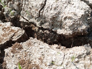 Cracked soil during the dry season