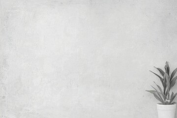 A white wall with a plant in a white pot