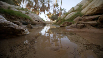 Fototapeta premium Small stream in Oasis - low shot