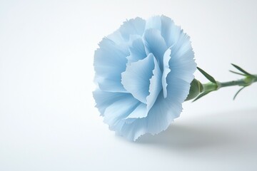 A blue flower with a green stem