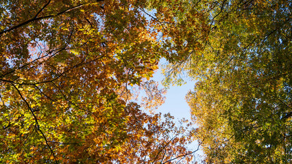 Beautiful Seoul, South Korea