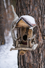 Wooden bird feeder on the tree