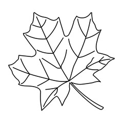 Autumn, Happy Thanksgiving Day, Fall, Harvest