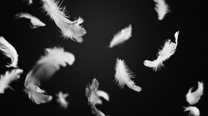 Floating Feathers in Dark Background