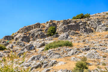 A rocky hillside with a tree growing out of the rocks