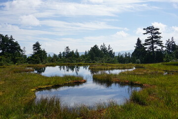 燧ヶ岳の湿原地帯
