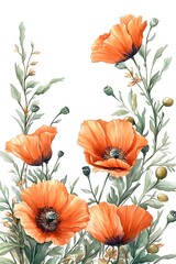 Beautiful watercolor poppy flowers in orange with delicate green foliage perfect for botanical art lovers and nature enthusiasts