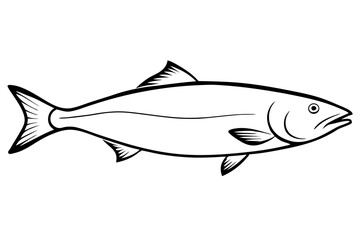 fish on a white background