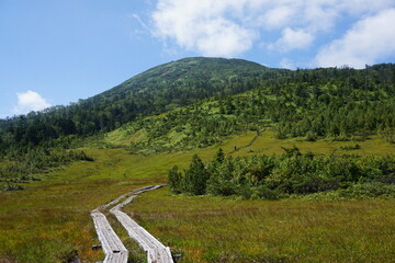 燧ヶ岳の木道 © Ryuya