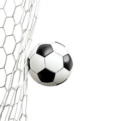 Fototapeta premium A soccer ball hits the net, symbolizing victory and the excitement of the game.