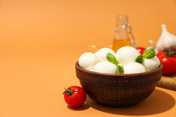 Mozzarella cheese, concept of tasty and delicious dairy products