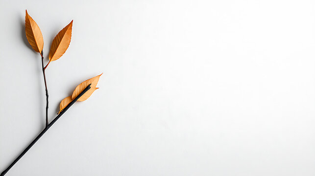 Celebrate united states independence day with creative nature themes