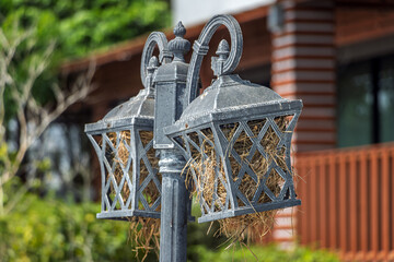 Bird nests in a garden lamp