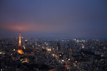 Obraz premium 臨海都市の夜景