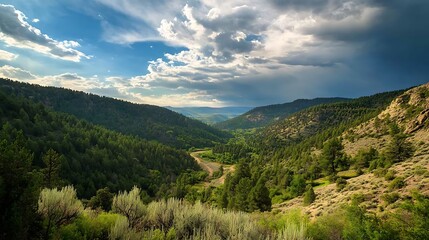 Scenic Mountain Valley Landscape with Lush Green Trees and Dramatic Cloudscape