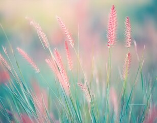 abstract nature macro grass bokeh blur background for text post 