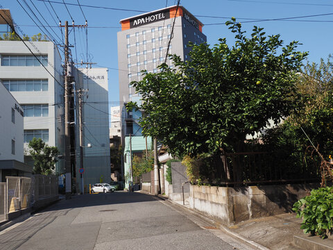CHIBA, JAPAN - November 4, 2024: Street in Chiba City with a citrus fruit tree, an apartment building, a car paking tower, offices, an APA hotel with a Super Hotel behind it.