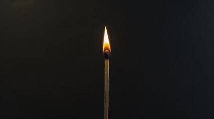 A single lit match on a solid black background representing the spark of diversity, Emphasizing the igniting power of diverse ideas and perspectives, minimalistic style