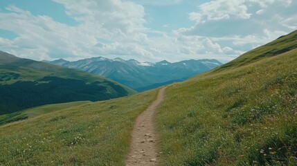 Fototapeta premium A serene mountain path winding through lush green meadows under a bright blue sky.