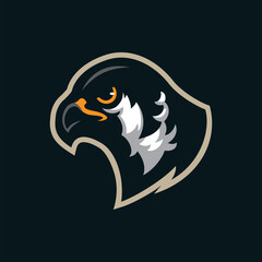 Falcon mascot logo design vector. Falcon head illustration for sport team.