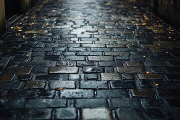 Wet cobblestone path after rain.