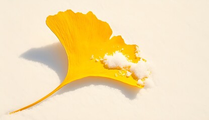 Naklejka premium Ginkgo leaves in autumn