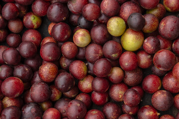 CAMU CAMU, AMAZONIAN FRUIT THAT GROWS ON THE BANKS OF RIVERS, DELICIOUS RED FRUIT KNOWN AS CAMU CAMU, DELICIOUS IN ICE CREAMS AND DESSERTS
