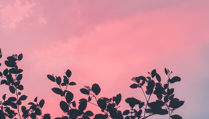 Pink background with a tree branch