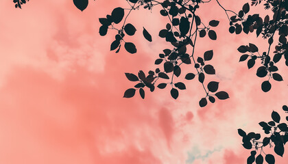 Tree silhouette branch on pink sky 