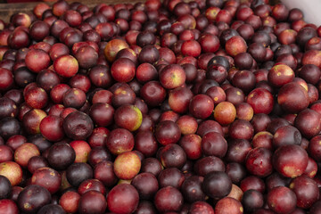 CAMU CAMU, AMAZONIAN FRUIT THAT GROWS ON THE BANKS OF RIVERS, DELICIOUS RED FRUIT KNOWN AS CAMU CAMU, DELICIOUS IN ICE CREAMS AND DESSERTS