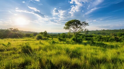 Environmental justice depicted by a serene landscape where diverse wildlife thrives in a protected natural reserve, Signifying conservation and biodiversity, photography style